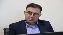 172 جعبه تخم نوغان در همدان توزیع شد 